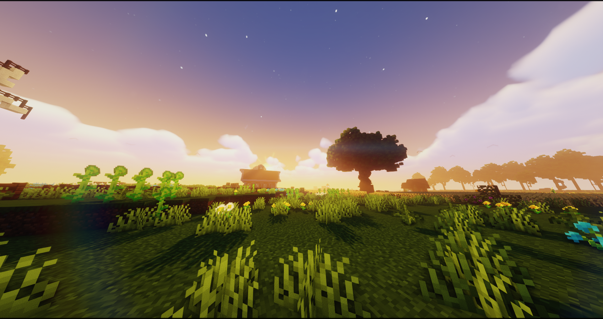 Plots Spawn